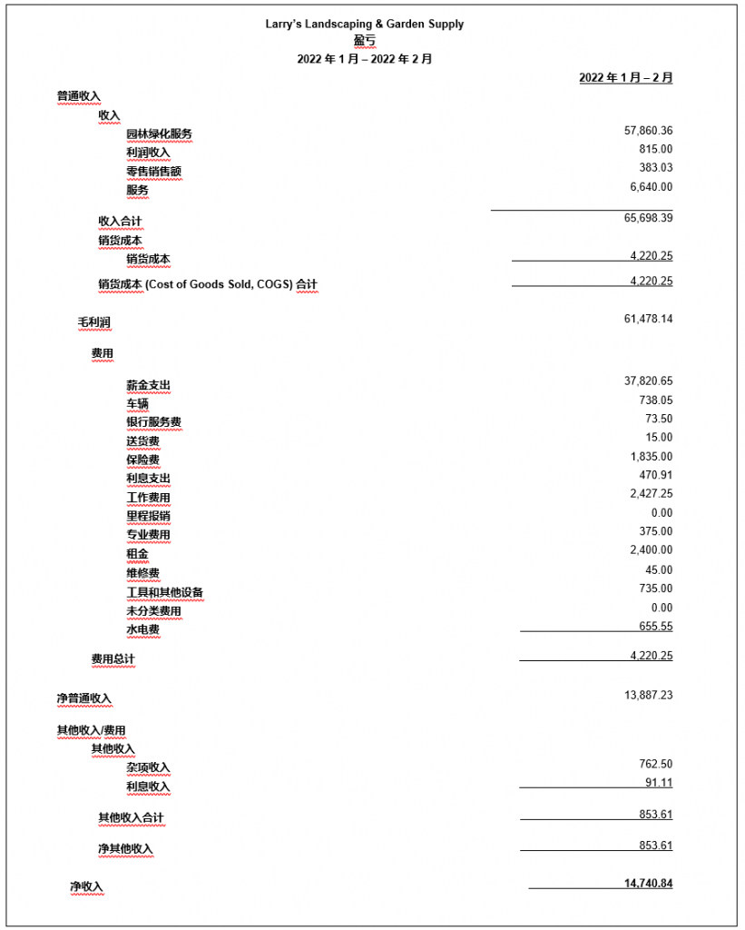Sample profit and loss statement in Chinese